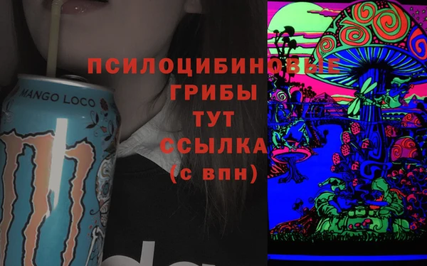 марки lsd Богданович