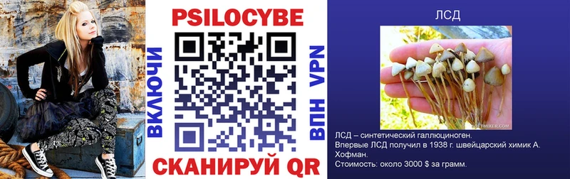 даркнет сайт  Кола  Галлюциногенные грибы Psilocybine cubensis 
